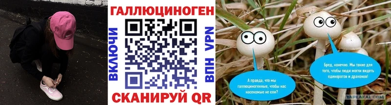 Псилоцибиновые грибы Cubensis  ссылка на мегу tor  Верещагино 